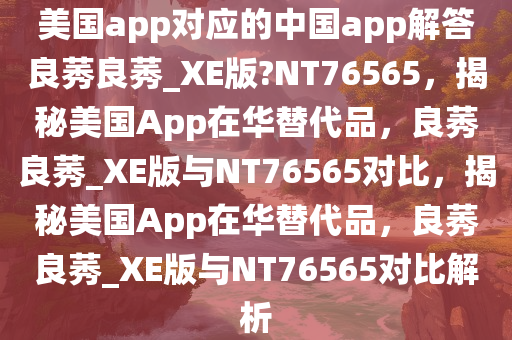 美国app对应的中国app解答良莠良莠_XE版?NT76565，揭秘美国App在华替代品，良莠良莠_XE版与NT76565对比，揭秘美国App在华替代品，良莠良莠_XE版与NT76565对比解析