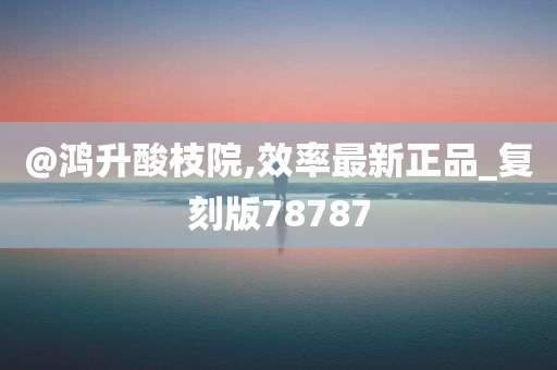 @鸿升酸枝院,效率最新正品_复刻版78787