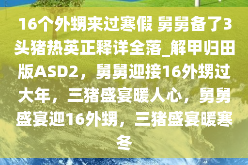 16个外甥来过寒假 舅舅备了3头猪热英正释详全落_解甲归田版ASD2，舅舅迎接16外甥过大年，三猪盛宴暖人心，舅舅盛宴迎16外甥，三猪盛宴暖寒冬