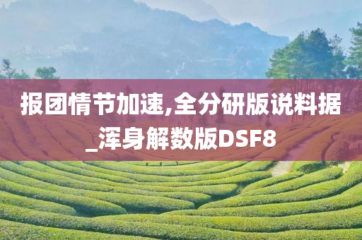 报团情节加速,全分研版说料据_浑身解数版DSF8