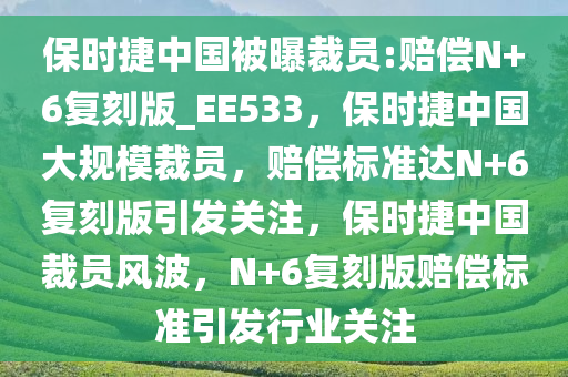 保时捷中国被曝裁员:赔偿N+6复刻版_EE533，保时捷中国大规模裁员，赔偿标准达N+6复刻版引发关注，保时捷中国裁员风波，N+6复刻版赔偿标准引发行业关注