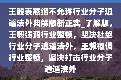 王毅表态绝不允许行业分子逍遥法外典解版新正实_了解版，王毅强调行业整顿，坚决杜绝行业分子逍遥法外，王毅强调行业整顿，坚决打击行业分子逍遥法外