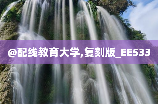 @配线教育大学,复刻版_EE533