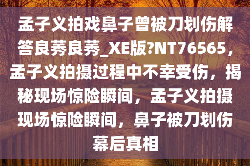 孟子义拍戏鼻子曾被刀划伤解答良莠良莠_XE版?NT76565，孟子义拍摄过程中不幸受伤，揭秘现场惊险瞬间，孟子义拍摄现场惊险瞬间，鼻子被刀划伤幕后真相