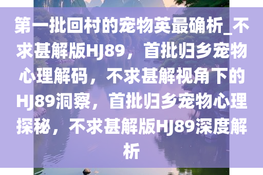 第一批回村的宠物英最确析_不求甚解版HJ89，首批归乡宠物心理解码，不求甚解视角下的HJ89洞察，首批归乡宠物心理探秘，不求甚解版HJ89深度解析