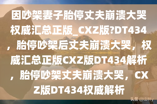 因吵架妻子胎停丈夫崩溃大哭权威汇总正版_CXZ版?DT434，胎停吵架后丈夫崩溃大哭，权威汇总正版CXZ版DT434解析，胎停吵架丈夫崩溃大哭，CXZ版DT434权威解析今晚必出三肖2025_2025新澳门精准免费提供·精确判断