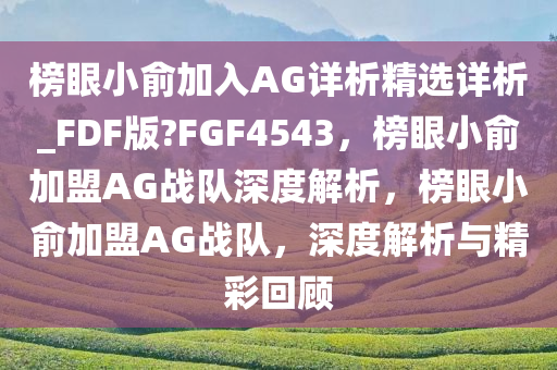 榜眼小俞加入AG详析精选详析_FDF版?FGF4543，榜眼小俞加盟AG战队深度解析，榜眼小俞加盟AG战队，深度解析与精彩回顾