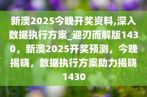 新澳2025今晚开奖资料,深入数据执行方案_迎刃而解版1430，新澳2025开奖预测，今晚揭晓，数据执行方案助力揭晓1430
