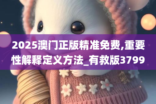 2025澳门正版精准免费,重要性解释定义方法_有救版3799