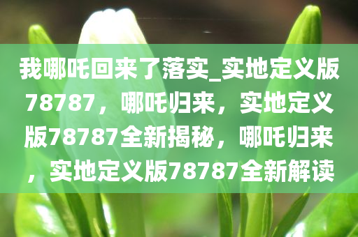 我哪吒回来了落实_实地定义版78787，哪吒归来，实地定义版78787全新揭秘，哪吒归来，实地定义版78787全新解读