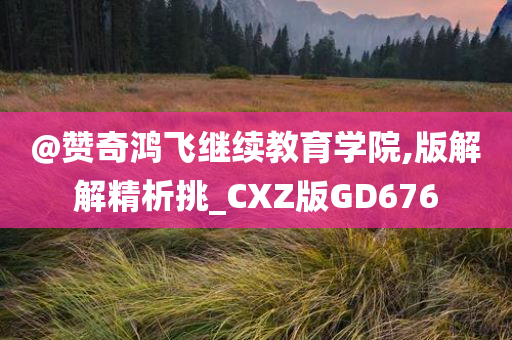 @赞奇鸿飞继续教育学院,版解解精析挑_CXZ版GD676