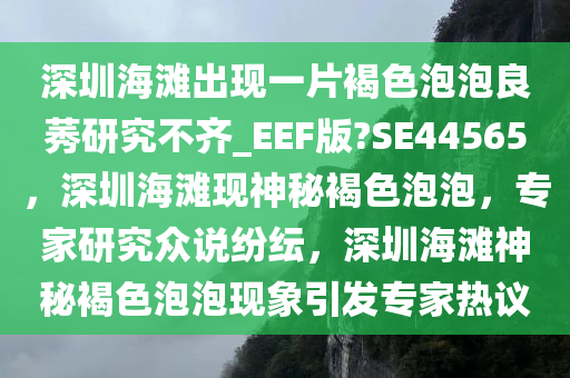 深圳海滩出现一片褐色泡泡良莠研究不齐_EEF版?SE44565，深圳海滩现神秘褐色泡泡，专家研究众说纷纭，深圳海滩神秘褐色泡泡现象引发专家热议
