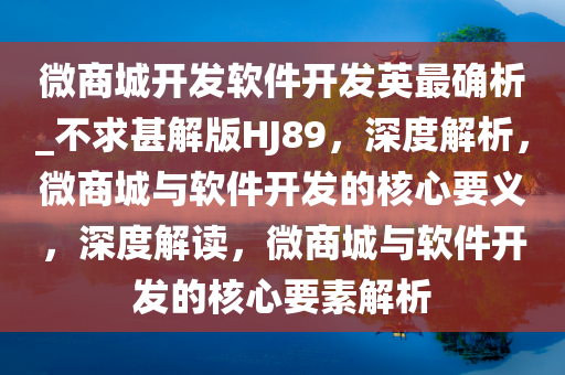 软件开发