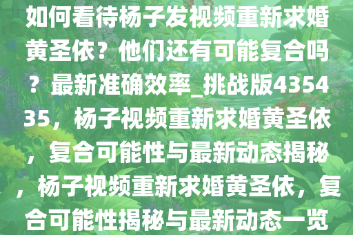 如何看待杨子发视频重新求婚黄圣依？他们还有可能复合吗？最新准确效率_挑战版435435，杨子视频重新求婚黄圣依，复合可能性与最新动态揭秘，杨子视频重新求婚黄圣依，复合可能性揭秘与最新动态一览