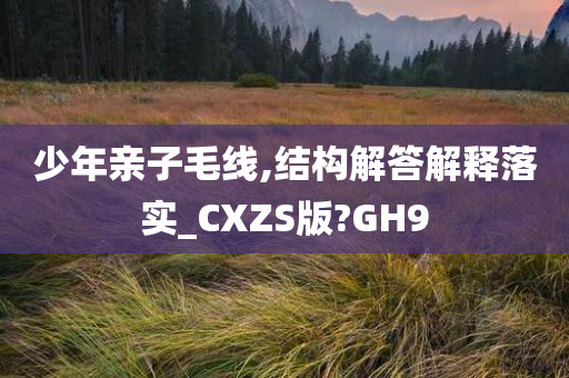少年亲子毛线,结构解答解释落实_CXZS版?GH9