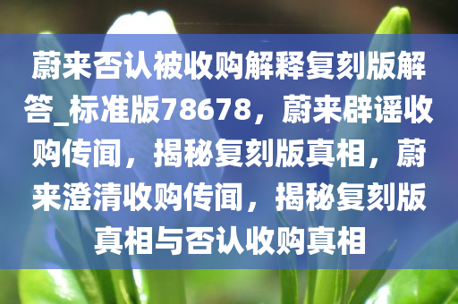 蔚来否认被收购解释复刻版解答_标准版78678，蔚来辟谣收购传闻，揭秘复刻版真相，蔚来澄清收购传闻，揭秘复刻版真相与否认收购真相