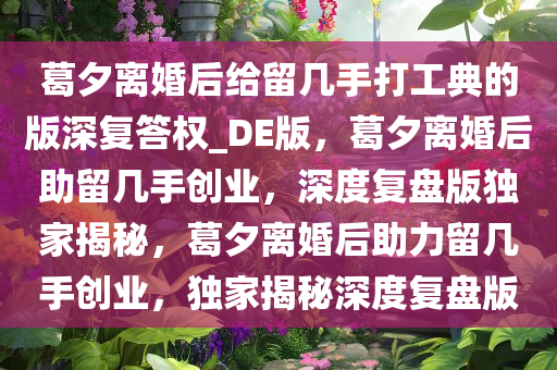 葛夕离婚后给留几手打工典的版深复答权_DE版，葛夕离婚后助留几手创业，深度复盘版独家揭秘，葛夕离婚后助力留几手创业，独家揭秘深度复盘版
