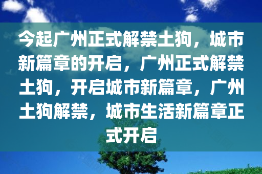 今起广州正式解禁土狗，城市新篇章的开启，广州正式解禁土狗，开启城市新篇章，广州土狗解禁，城市生活新篇章正式开启