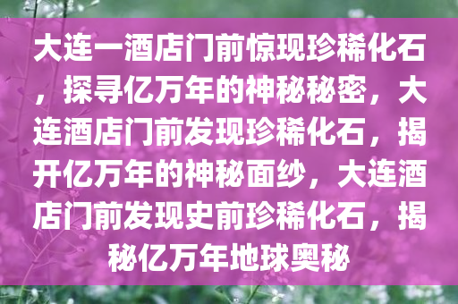 大连一酒店门前惊现珍稀化石，探寻亿万年的神秘秘密，大连酒店门前发现珍稀化石，揭开亿万年的神秘面纱，大连酒店门前发现史前珍稀化石，揭秘亿万年地球奥秘
