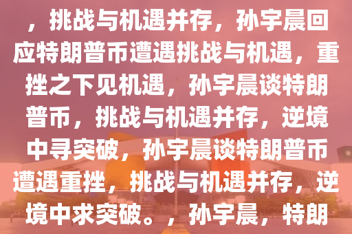 孙宇晨回应特朗普币遭受重挫，挑战与机遇并存，孙宇晨回应特朗普币遭遇挑战与机遇，重挫之下见机遇，孙宇晨谈特朗普币，挑战与机遇并存，逆境中寻突破，孙宇晨谈特朗普币遭遇重挫，挑战与机遇并存，逆境中求突破。，孙宇晨，特朗普币重挫中的挑战与机遇