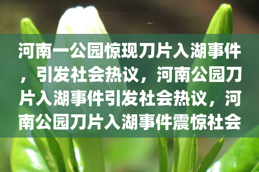 河南一公园惊现刀片入湖事件，引发社会热议，河南公园刀片入湖事件引发社会热议，河南公园刀片入湖事件震惊社会