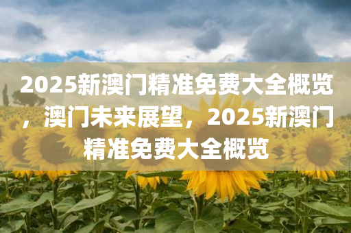 2025新澳门精准免费大全概览，澳门未来展望，2025新澳门精准免费大全概览