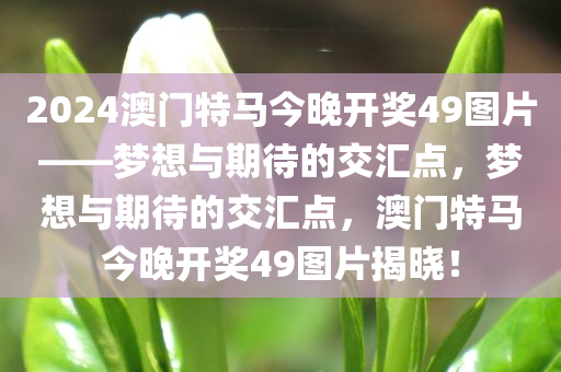 2024澳门特马今晚开奖49图片——梦想与期待的交汇点，梦想与期待的交汇点，澳门特马今晚开奖49图片揭晓！