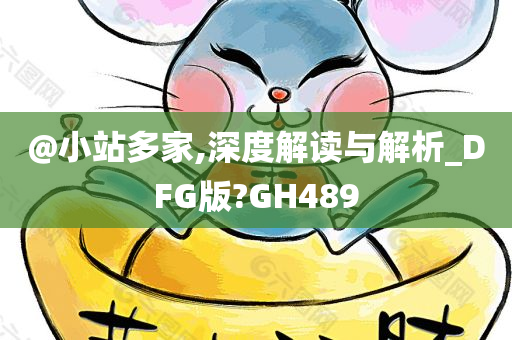 @小站多家,深度解读与解析_DFG版?GH489