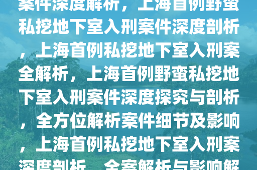 上海首例野蛮私挖地下室入刑案件深度解析，上海首例野蛮私挖地下室入刑案件深度剖析，上海首例私挖地下室入刑案全解析，上海首例野蛮私挖地下室入刑案件深度探究与剖析，全方位解析案件细节及影响，上海首例私挖地下室入刑案深度剖析，全案解析与影响解读