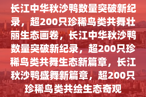 长江中华秋沙鸭数量突破新纪录，超200只珍稀鸟类共舞壮丽生态画卷，长江中华秋沙鸭数量突破新纪录，超200只珍稀鸟类共舞生态新篇章，长江秋沙鸭盛舞新篇章，超200只珍稀鸟类共绘生态奇观