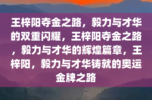 王梓阳夺金之路，毅力与才华的双重闪耀，王梓阳夺金之路，毅力与才华的辉煌篇章，王梓阳，毅力与才华铸就的奥运金牌之路