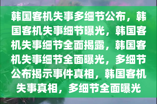 韩国客机失事多细节公布，韩国客机失事细节曝光，韩国客机失事细节全面揭露，韩国客机失事细节全面曝光，多细节公布揭示事件真相，韩国客机失事真相，多细节全面曝光