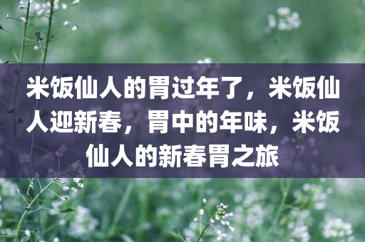 米饭仙人的胃过年了，米饭仙人迎新春，胃中的年味，米饭仙人的新春胃之旅