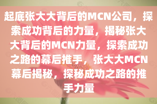 起底张大大背后的MCN公司，探索成功背后的力量，揭秘张大大背后的MCN力量，探索成功之路的幕后推手，张大大MCN幕后揭秘，探秘成功之路的推手力量