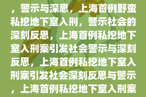 chenxinyao 第16页