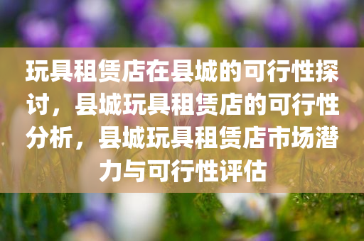 玩具租赁店在县城的可行性探讨，县城玩具租赁店的可行性分析，县城玩具租赁店市场潜力与可行性评估