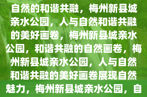梅州新县城的亲水公园，人与自然的和谐共融，梅州新县城亲水公园，人与自然和谐共融的美好画卷，梅州新县城亲水公园，和谐共融的自然画卷，梅州新县城亲水公园，人与自然和谐共融的美好画卷展现自然魅力，梅州新县城亲水公园，自然与和谐共融的美丽画卷