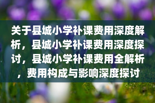 关于县城小学补课费用深度解析，县城小学补课费用深度探讨，县城小学补课费用全解析，费用构成与影响深度探讨
