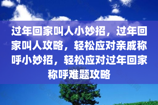 过年回家叫人小妙招，过年回家叫人攻略，轻松应对亲戚称呼小妙招，轻松应对过年回家称呼难题攻略