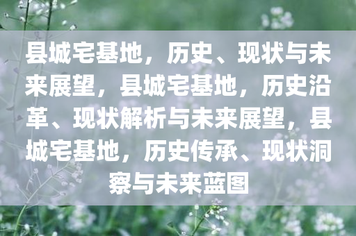 县城宅基地，历史、现状与未来展望，县城宅基地，历史沿革、现状解析与未来展望，县城宅基地，历史传承、现状洞察与未来蓝图
