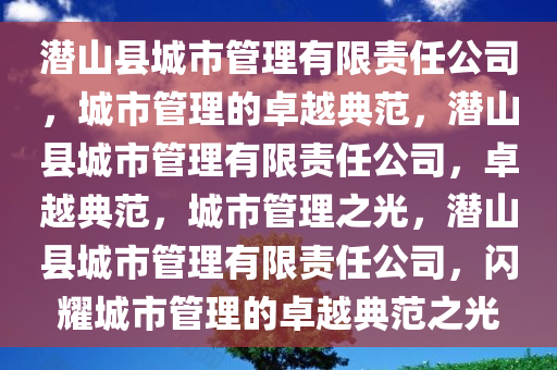 潜山县城市管理有限责任公司，城市管理的卓越典范，潜山县城市管理有限责任公司，卓越典范，城市管理之光，潜山县城市管理有限责任公司，闪耀城市管理的卓越典范之光