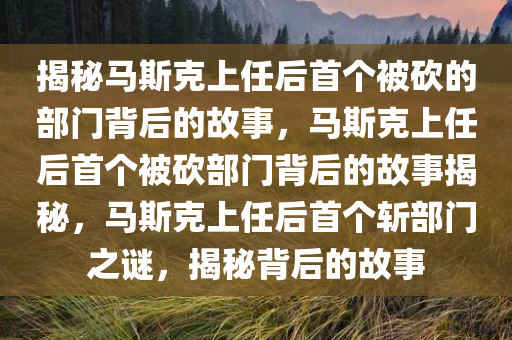 揭秘马斯克上任后首个被砍的部门背后的故事，马斯克上任后首个被砍部门背后的故事揭秘，马斯克上任后首个斩部门之谜，揭秘背后的故事