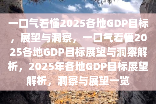 一口气看懂2025各地GDP目标，展望与洞察，一口气看懂2025各地GDP目标展望与洞察解析，2025年各地GDP目标展望解析，洞察与展望一览