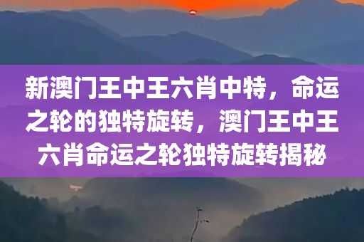 新澳门王中王六肖中特，命运之轮的独特旋转，澳门王中王六肖命运之轮独特旋转揭秘