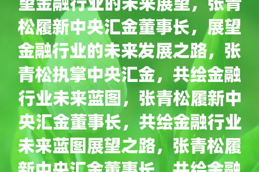 张青松履新中央汇金董事长，展望金融行业的未来展望，张青松履新中央汇金董事长，展望金融行业的未来发展之路，张青松执掌中央汇金，共绘金融行业未来蓝图，张青松履新中央汇金董事长，共绘金融行业未来蓝图展望之路，张青松履新中央汇金董事长，共绘金融行业未来蓝图