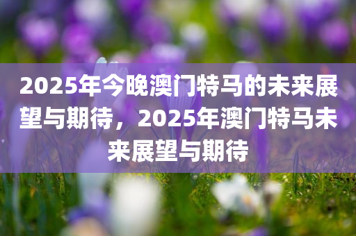 guozhejia 第15页