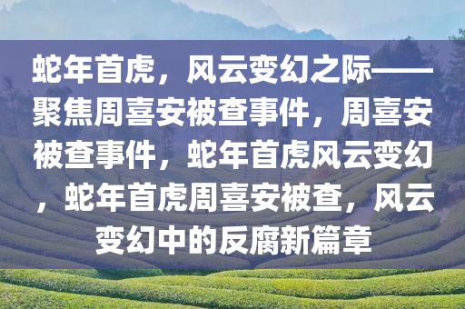 蛇年首虎，风云变幻之际——聚焦周喜安被查事件，周喜安被查事件，蛇年首虎风云变幻，蛇年首虎周喜安被查，风云变幻中的反腐新篇章
