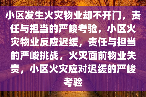 小区发生火灾物业却不开门，责任与担当的严峻考验，小区火灾物业反应迟缓，责任与担当的严峻挑战，火灾面前物业失责，小区火灾应对迟缓的严峻考验