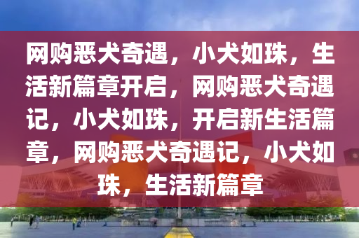 网购恶犬奇遇，小犬如珠，生活新篇章开启，网购恶犬奇遇记，小犬如珠，开启新生活篇章，网购恶犬奇遇记，小犬如珠，生活新篇章