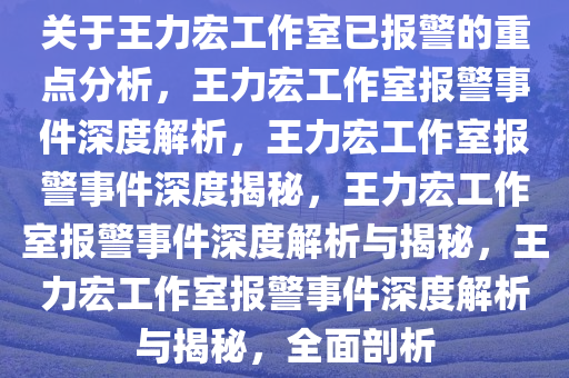 王力宏工作室已报警